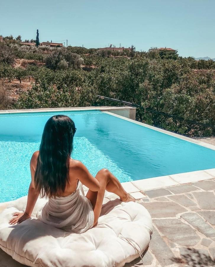 Villa Xenia Aegina Exteriör bild